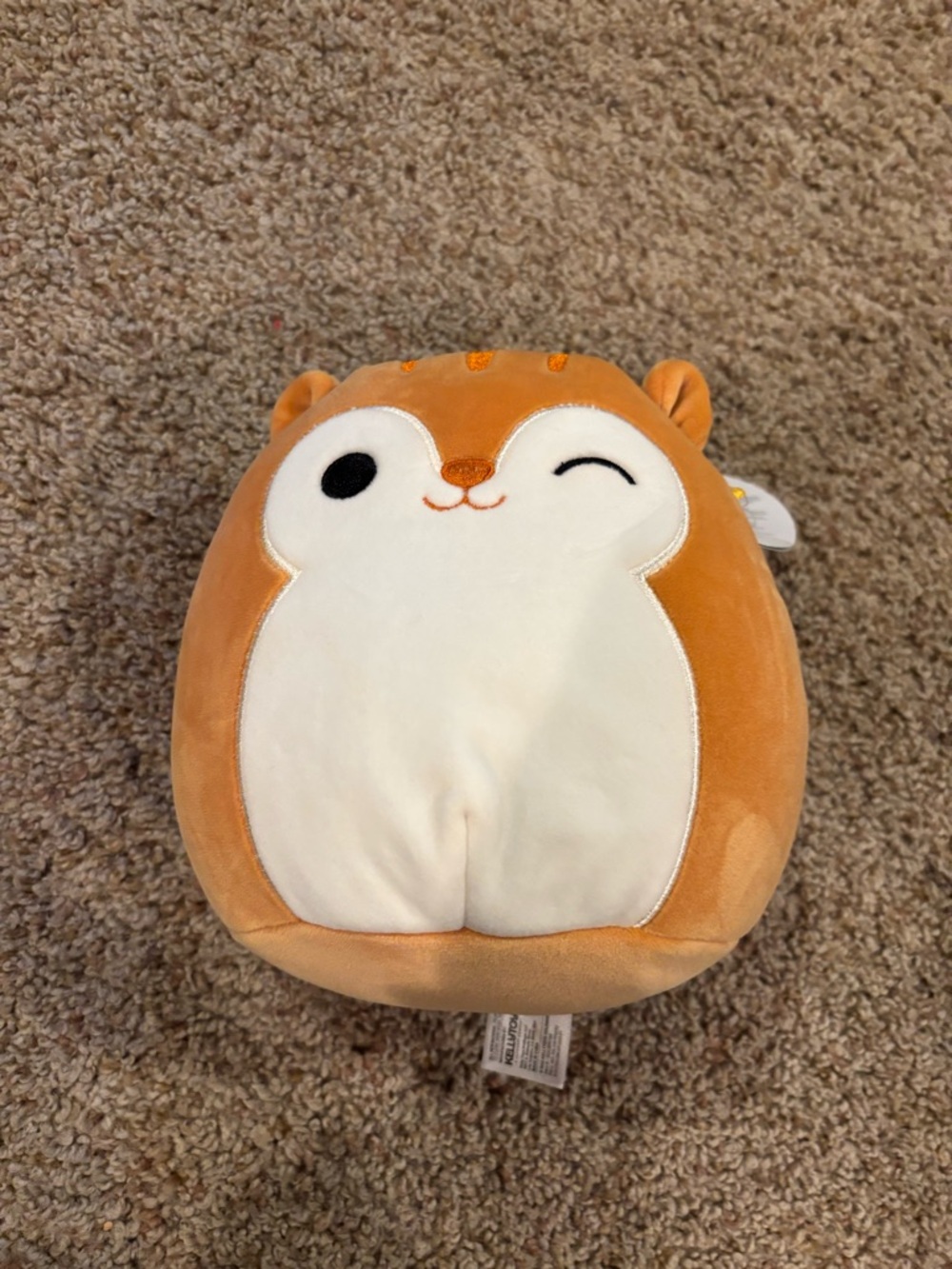 NWT 8 in Quigley the Squirl Squishmallow